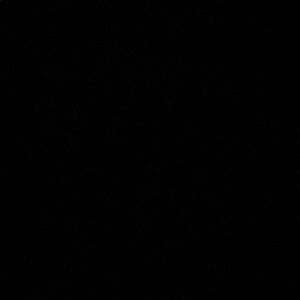 Meet your Posher, Trenton